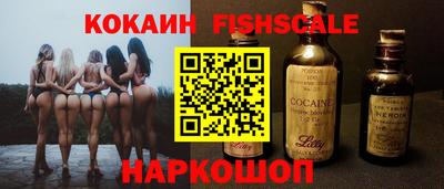 гашик Можга