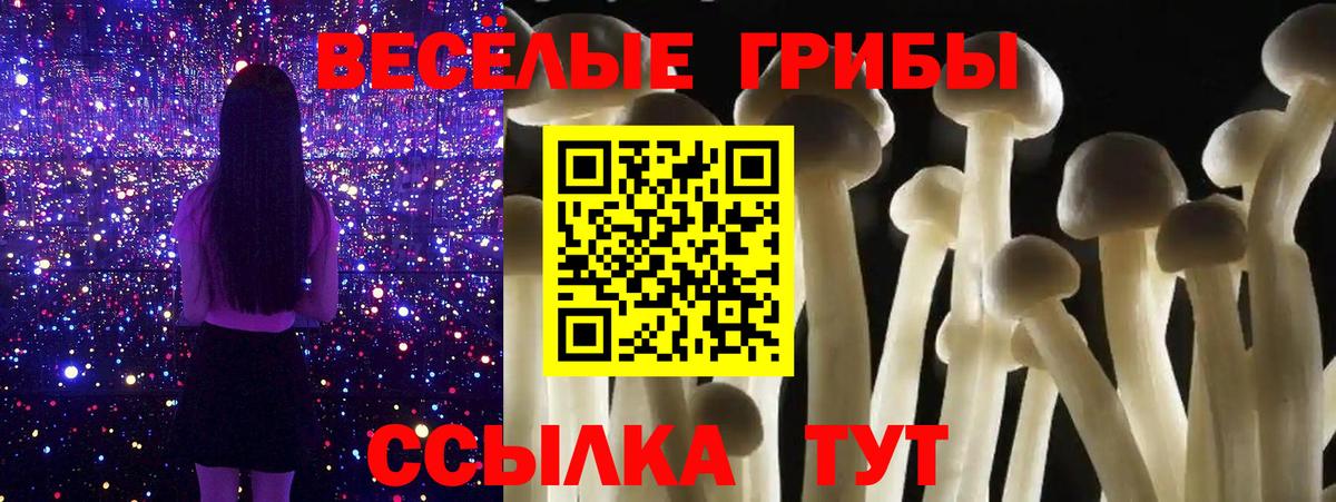 Ульяновск  Псилоцибиновые грибы MAGIC MUSHROOMS  Псилоцибиновые грибы Magic Shrooms  Вход с VPN 
